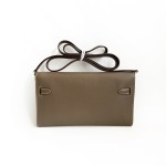 Hermès Kelly To Go in Epsom Leather